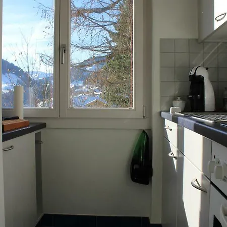 Sonnige, grosszügige Einzimmerwohnung im Zentrum Adelboden Exterior foto