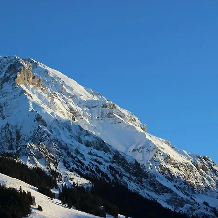 Sonnige, grosszügige Einzimmerwohnung im Zentrum Adelboden Exterior foto