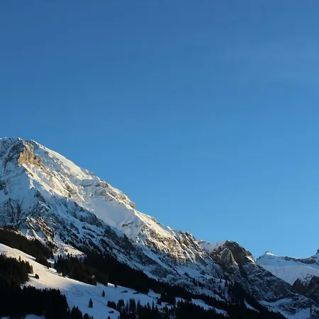 Sonnige, grosszügige Einzimmerwohnung im Zentrum Adelboden Exterior foto