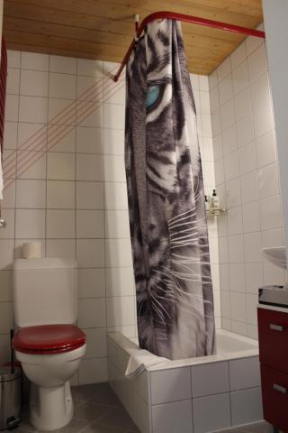 The Engstligen Appartement