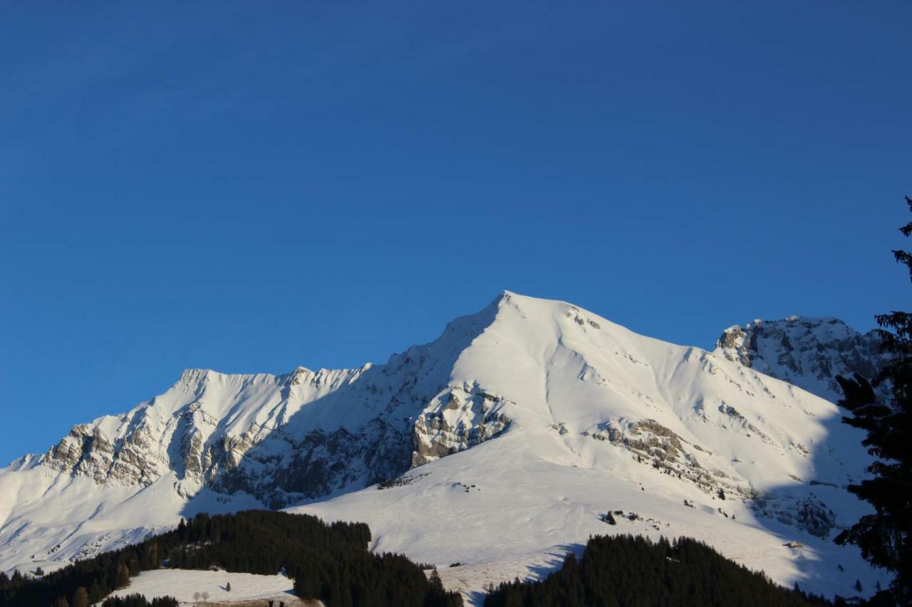 The Engstligen